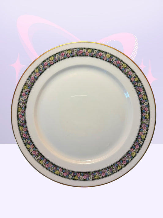 10- Antique Rosenthal "Donatello" pattern 2100 dinner plates (1930’s)