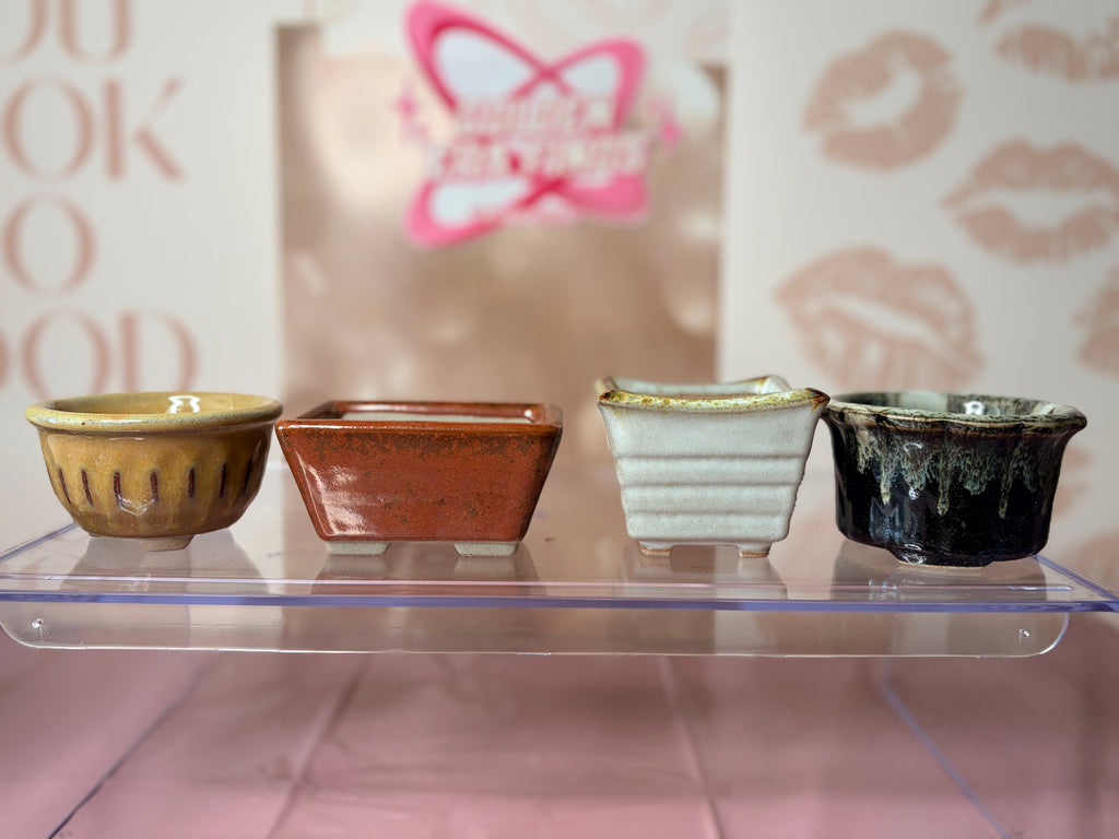 10-Piece Japanese Miniature Bonsai Pot Set - Deadstock Mashiko-yaki Orikoshi Kiln Shohin Mame Pots