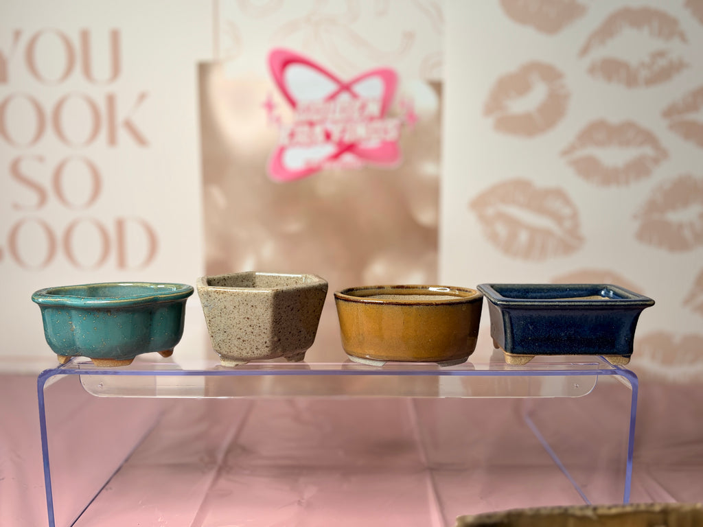 10-Piece Japanese Miniature Bonsai Pot Set - Deadstock Mashiko-yaki Orikoshi Kiln Shohin Mame Pots
