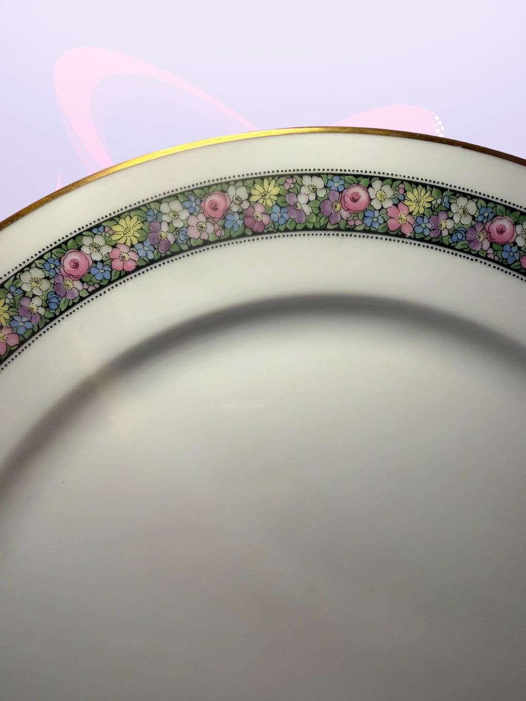 10- Antique Rosenthal "Donatello" pattern 2100 dinner plates (1930’s)