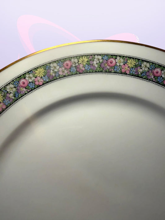 10- Antique Rosenthal "Donatello" pattern 2100 dinner plates (1930’s)